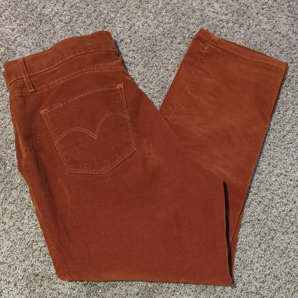 Rust Corduroy Pants